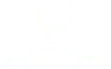 c4t logo